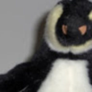 Meet your Posher, Bill